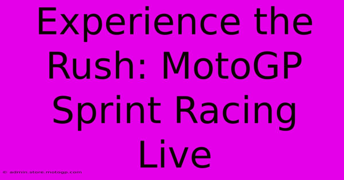 Experience The Rush: MotoGP Sprint Racing Live