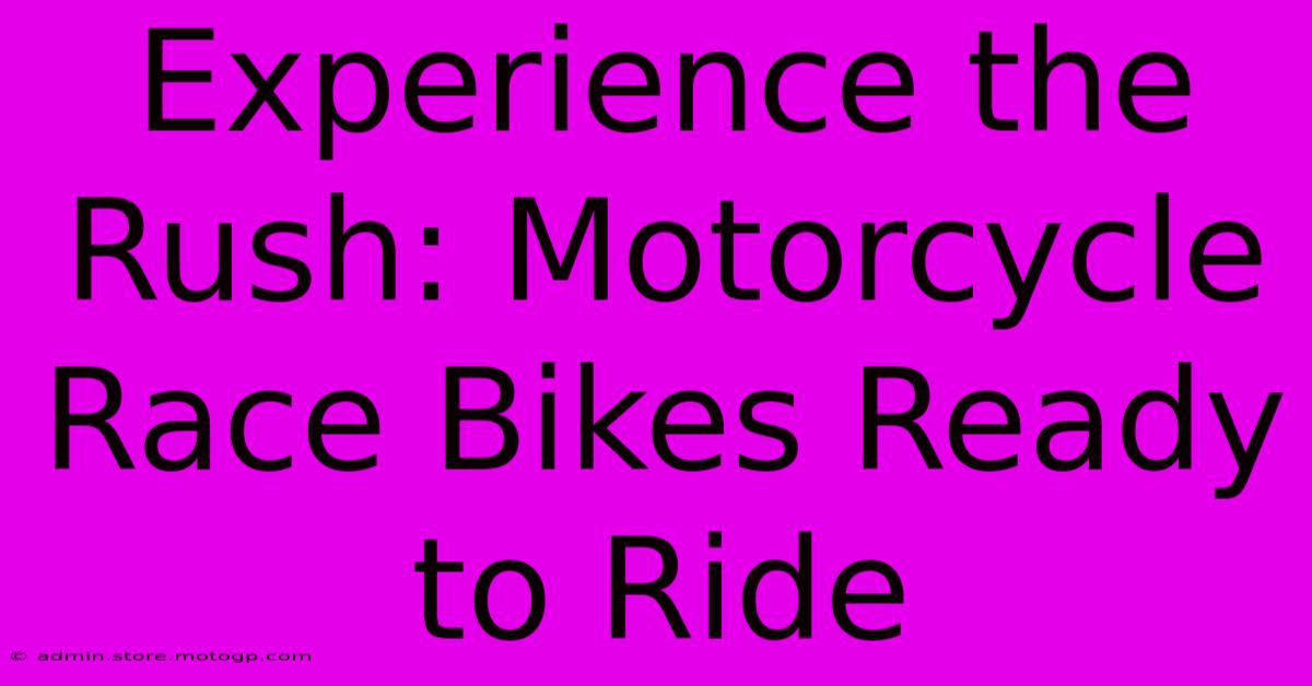 Experience The Rush: Motorcycle Race Bikes Ready To Ride