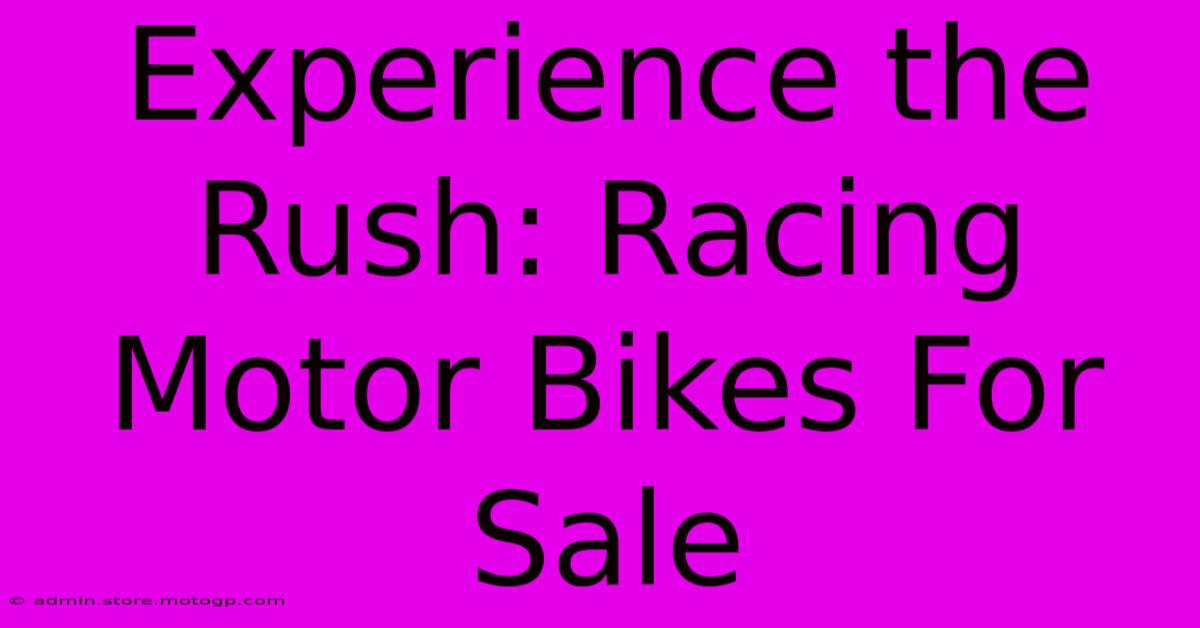 Experience The Rush: Racing Motor Bikes For Sale