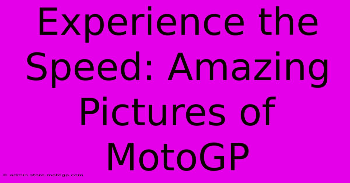 Experience The Speed: Amazing Pictures Of MotoGP