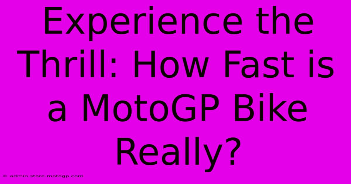 Experience The Thrill: How Fast Is A MotoGP Bike Really?