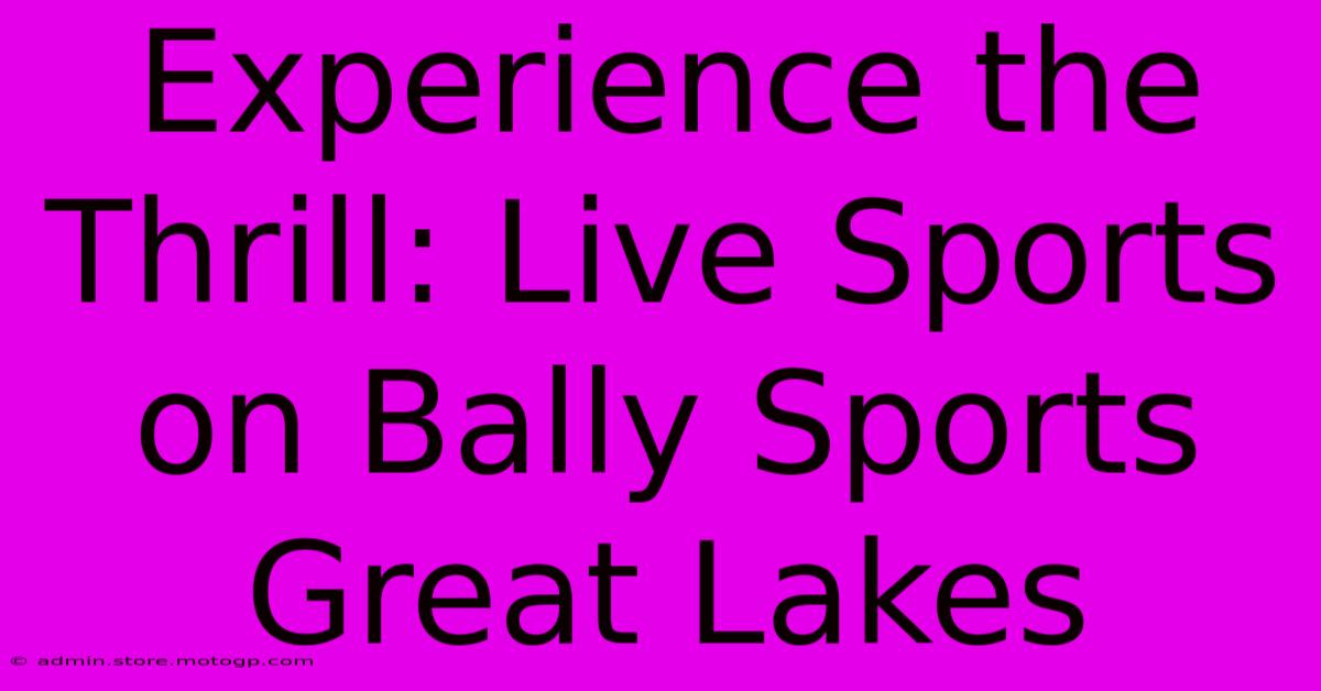 Experience The Thrill: Live Sports On Bally Sports Great Lakes