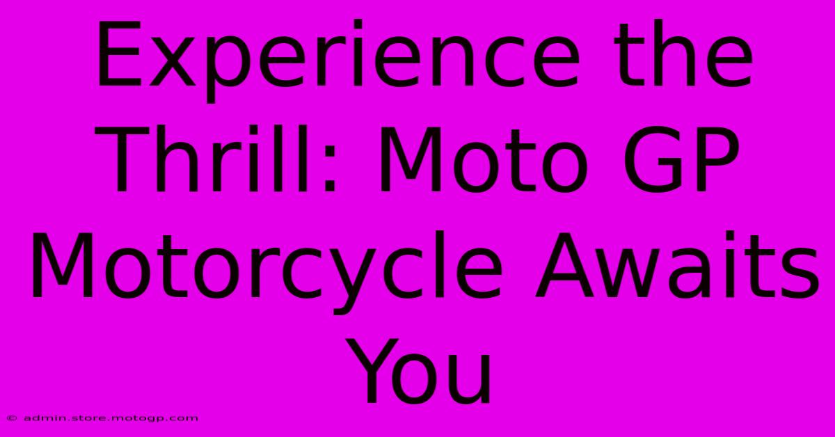 Experience The Thrill: Moto GP Motorcycle Awaits You