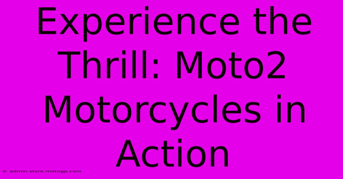 Experience The Thrill: Moto2 Motorcycles In Action