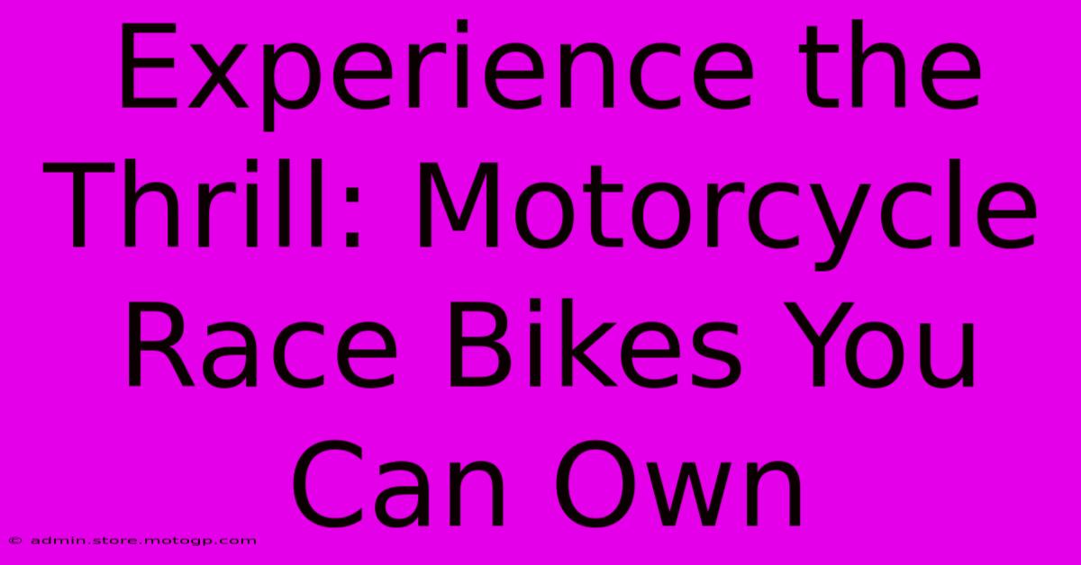 Experience The Thrill: Motorcycle Race Bikes You Can Own