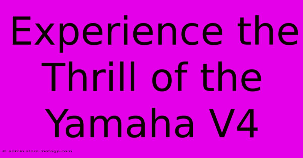 Experience The Thrill Of The Yamaha V4