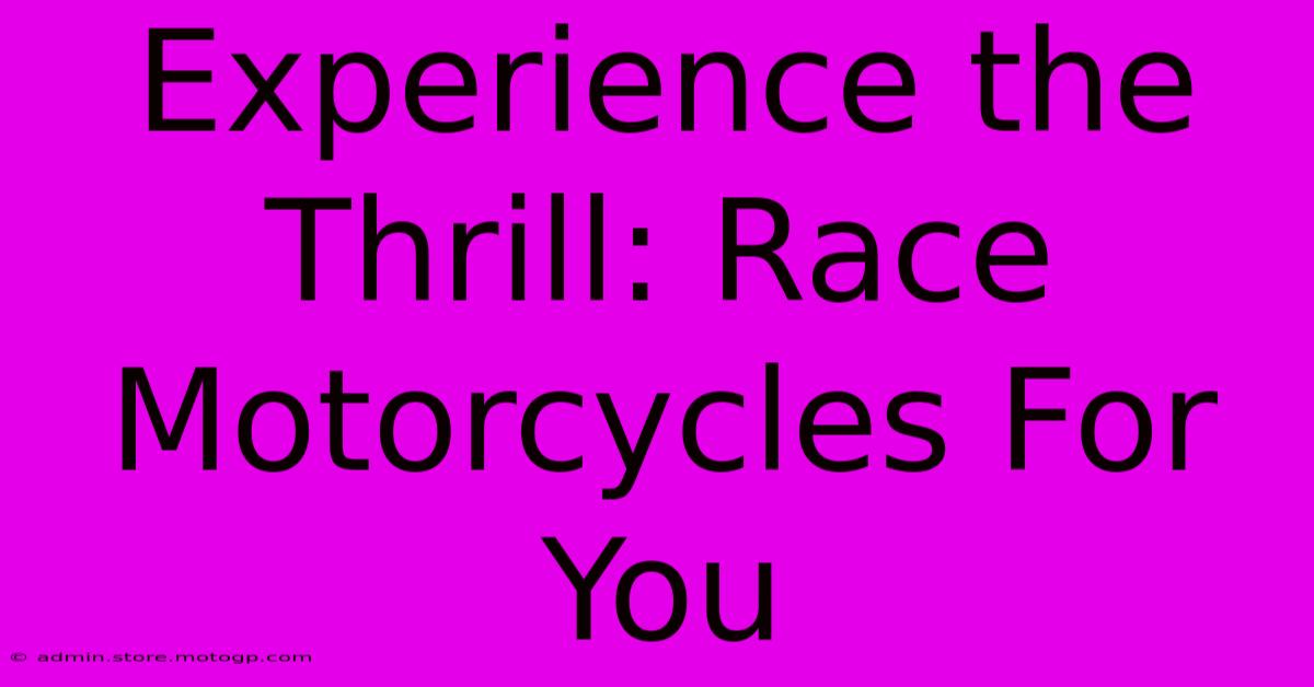 Experience The Thrill: Race Motorcycles For You