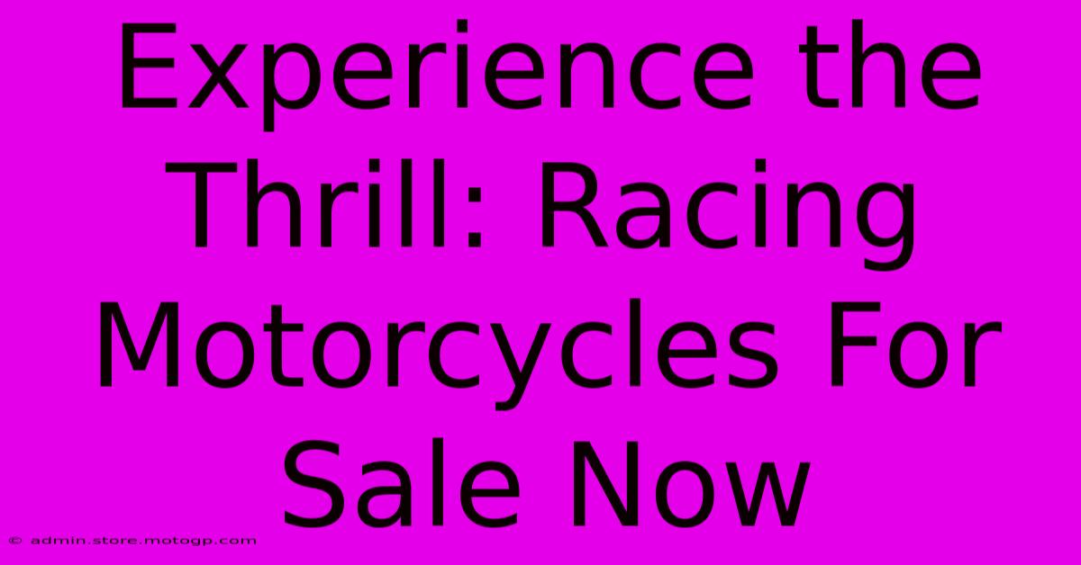 Experience The Thrill: Racing Motorcycles For Sale Now