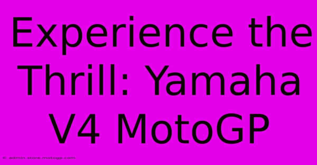 Experience The Thrill: Yamaha V4 MotoGP