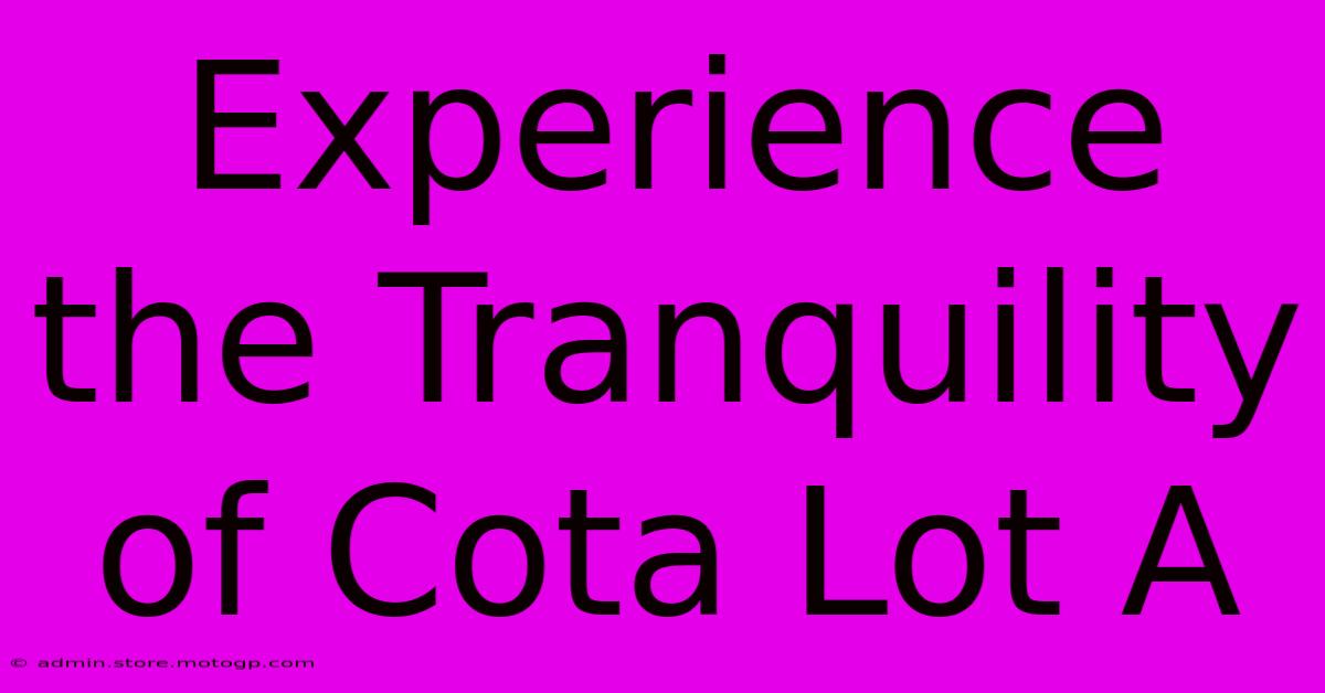 Experience The Tranquility Of Cota Lot A