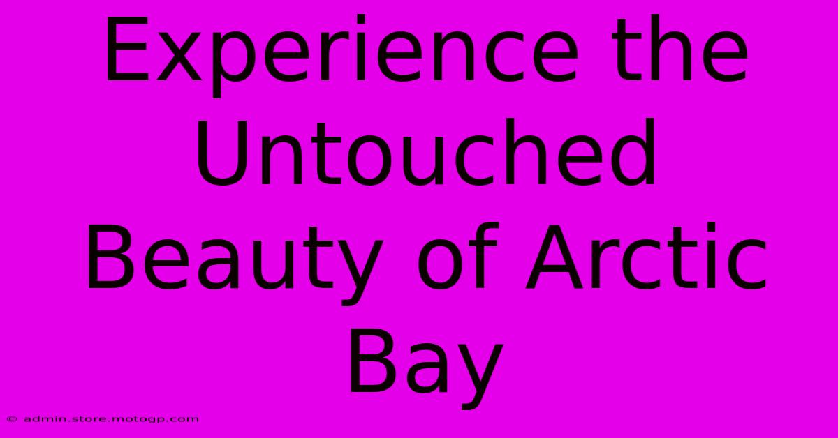 Experience The Untouched Beauty Of Arctic Bay