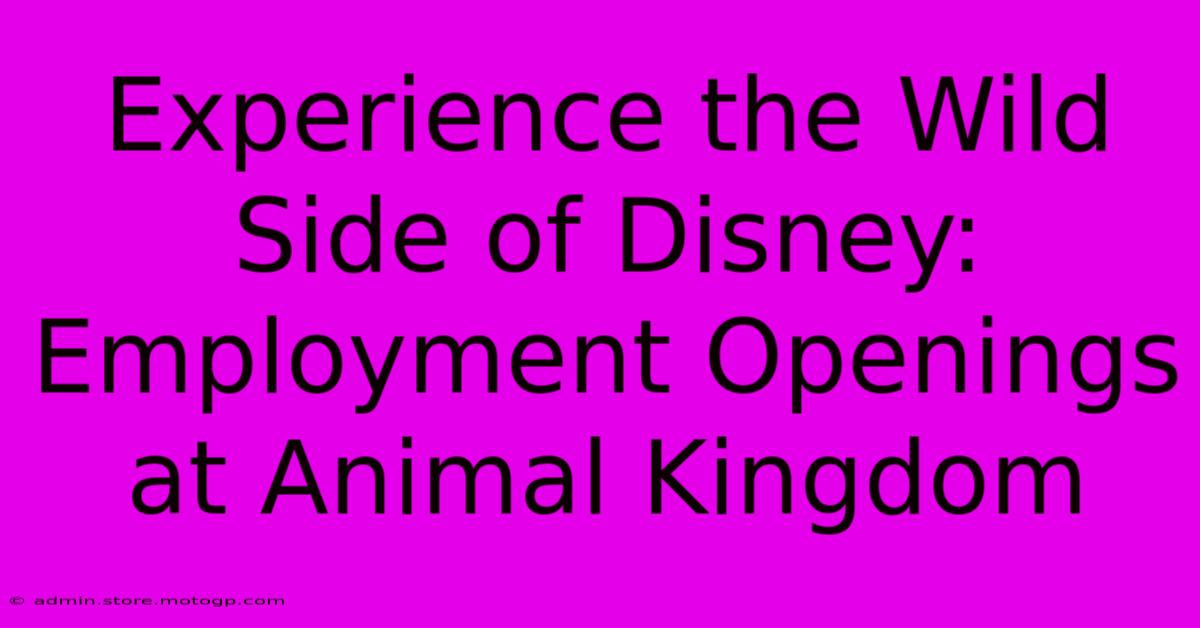 Experience The Wild Side Of Disney: Employment Openings At Animal Kingdom