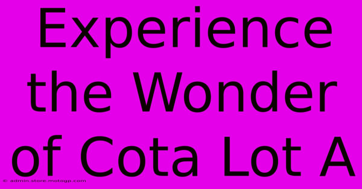 Experience The Wonder Of Cota Lot A