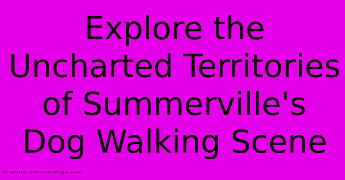 Explore The Uncharted Territories Of Summerville's Dog Walking Scene