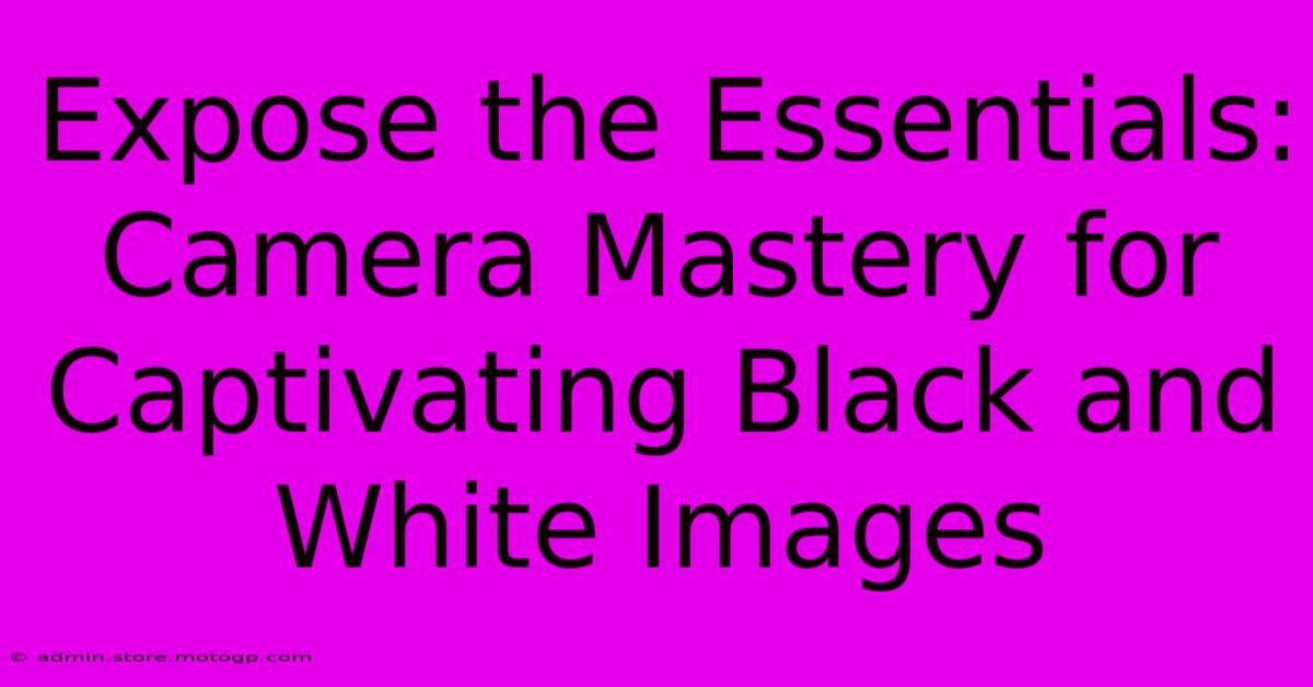 Expose The Essentials: Camera Mastery For Captivating Black And White Images