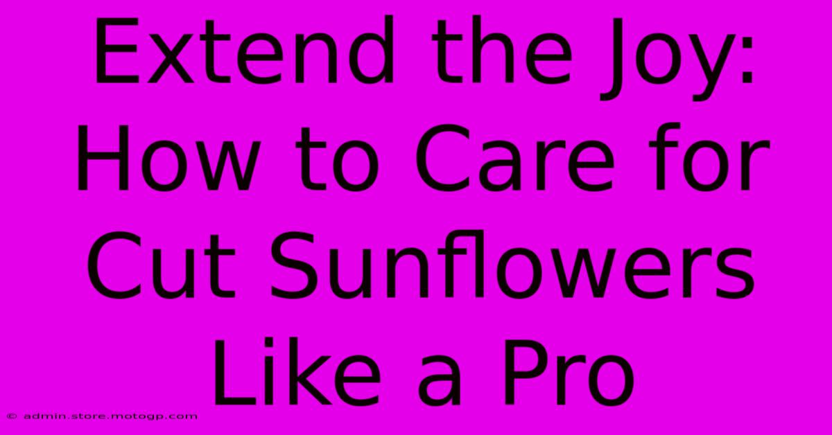 Extend The Joy: How To Care For Cut Sunflowers Like A Pro