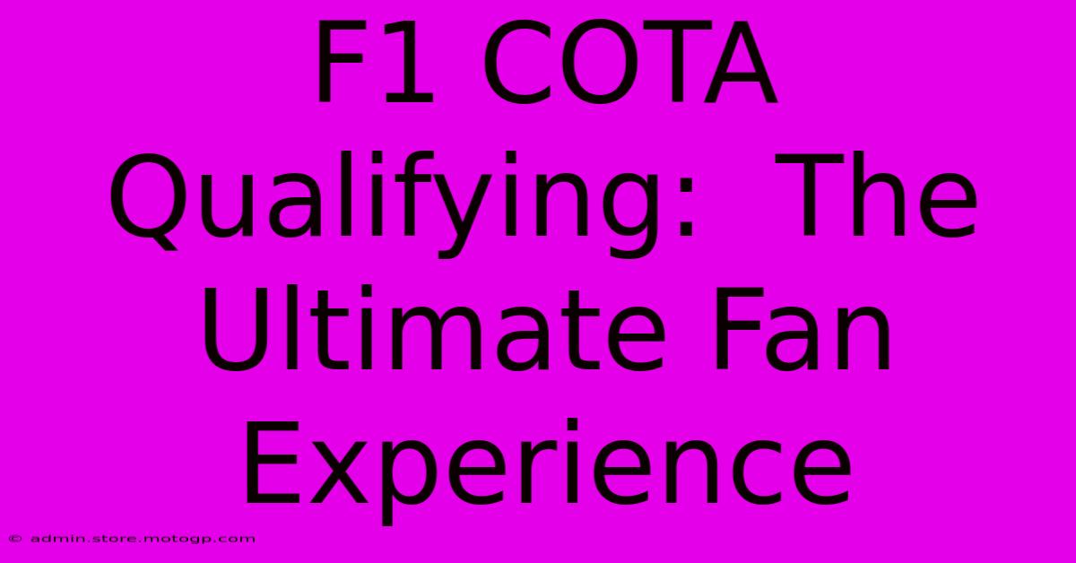 F1 COTA Qualifying:  The Ultimate Fan Experience