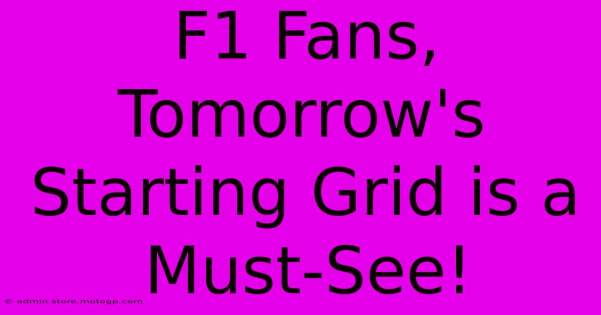 F1 Fans, Tomorrow's Starting Grid Is A Must-See!