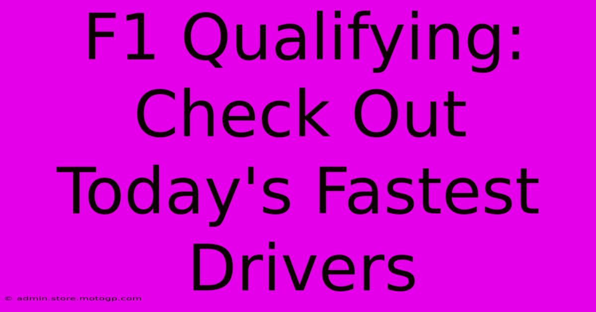 F1 Qualifying: Check Out Today's Fastest Drivers