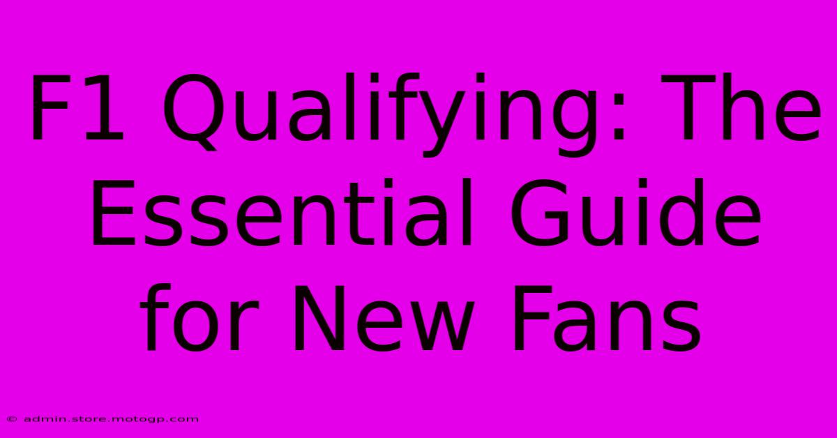 F1 Qualifying: The Essential Guide For New Fans