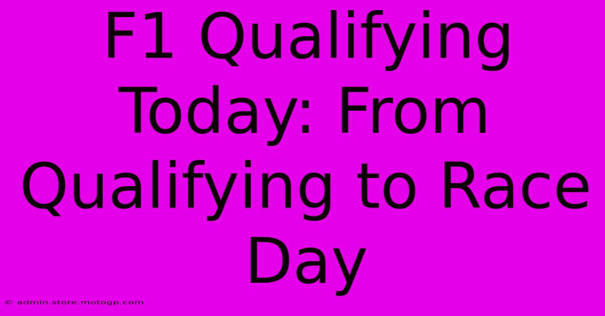 F1 Qualifying Today: From Qualifying To Race Day