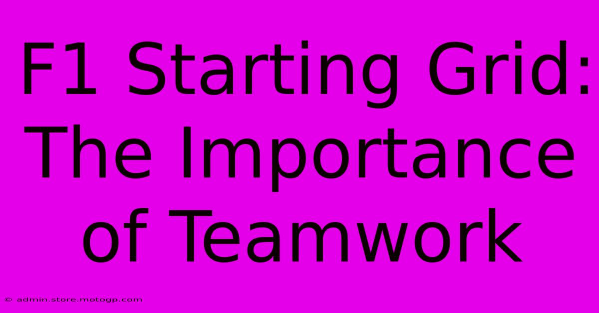 F1 Starting Grid: The Importance Of Teamwork