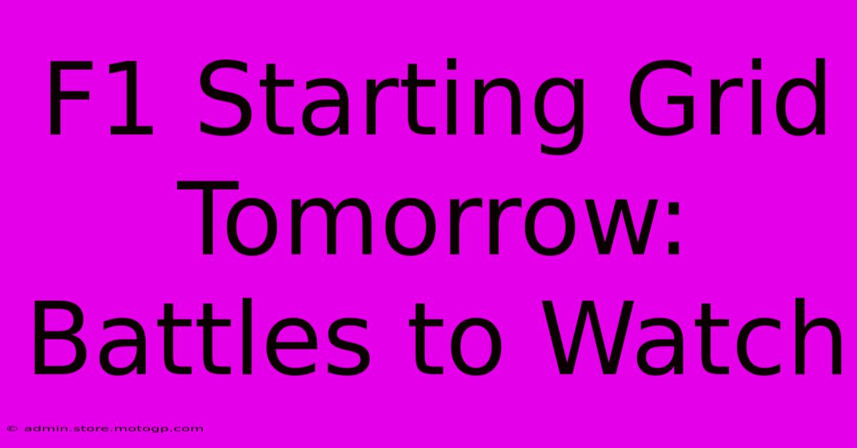 F1 Starting Grid Tomorrow: Battles To Watch