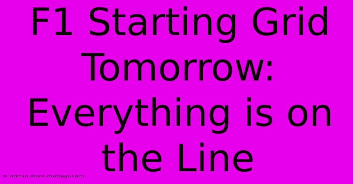 F1 Starting Grid Tomorrow: Everything Is On The Line