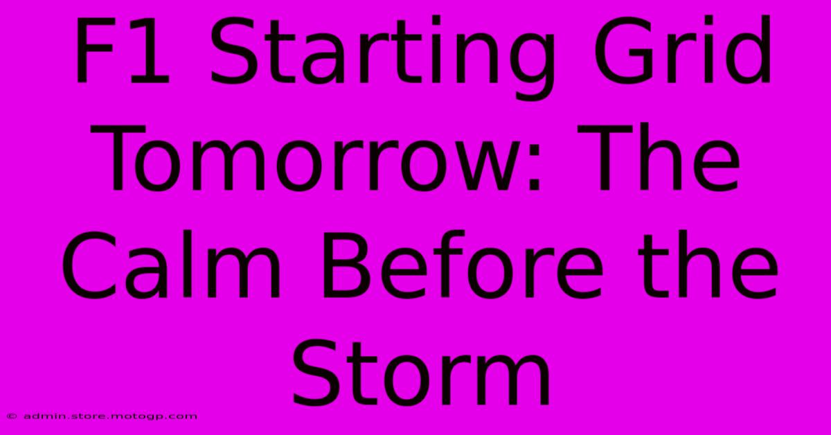 F1 Starting Grid Tomorrow: The Calm Before The Storm