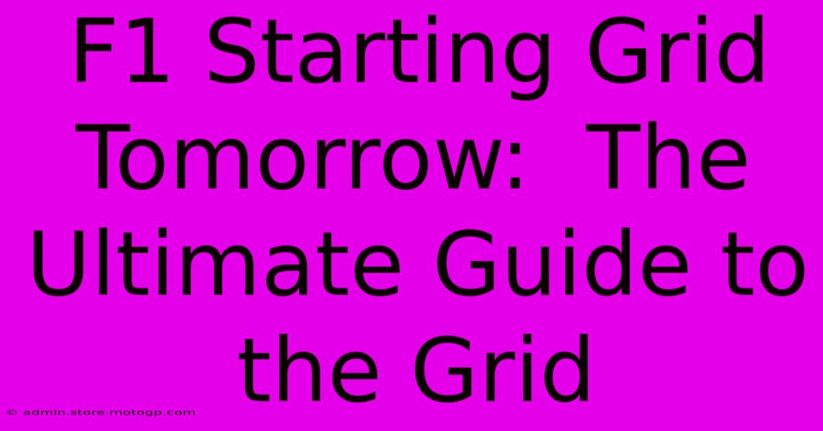 F1 Starting Grid Tomorrow:  The Ultimate Guide To The Grid