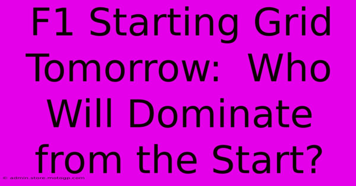 F1 Starting Grid Tomorrow:  Who Will Dominate From The Start?