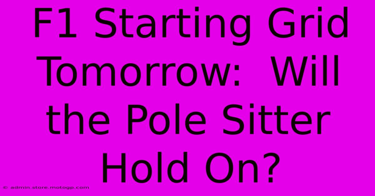 F1 Starting Grid Tomorrow:  Will The Pole Sitter Hold On?