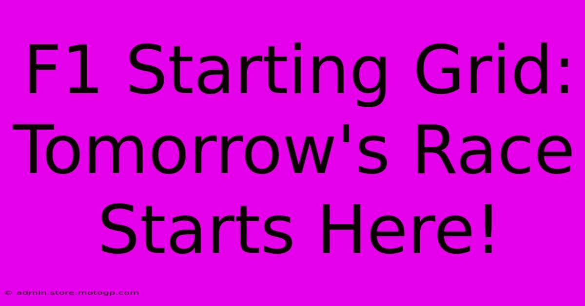 F1 Starting Grid:  Tomorrow's Race Starts Here!