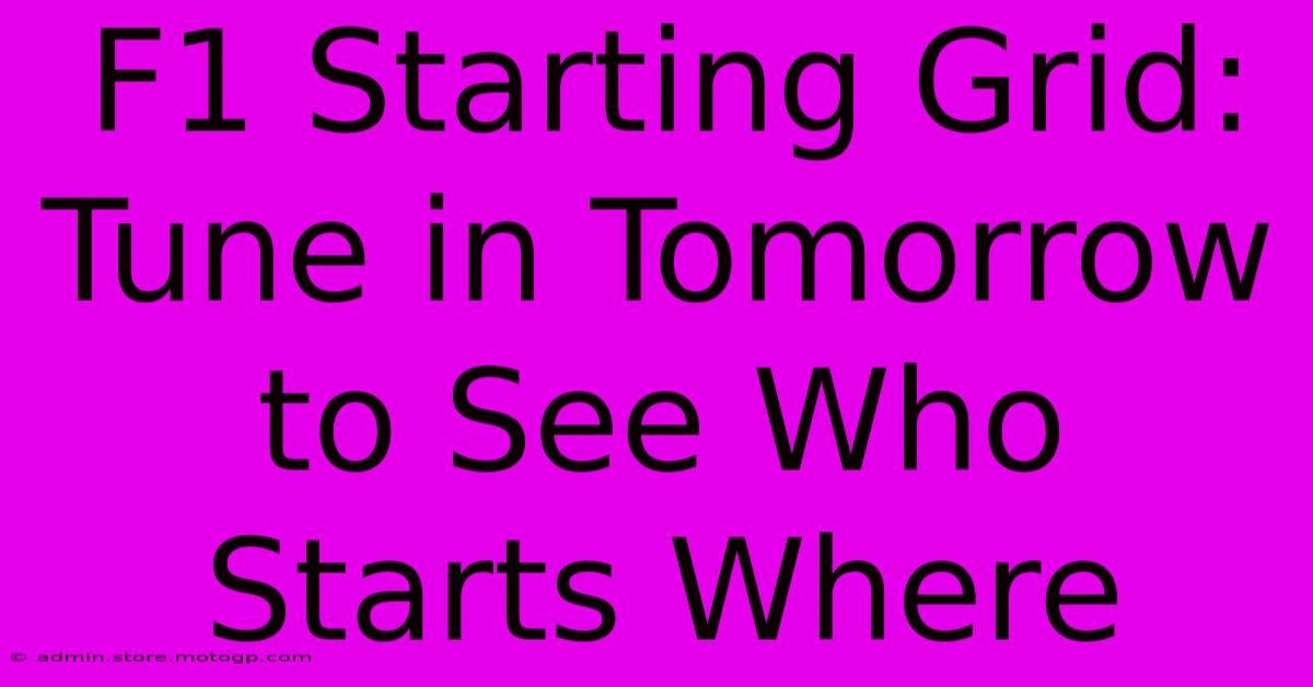 F1 Starting Grid: Tune In Tomorrow To See Who Starts Where