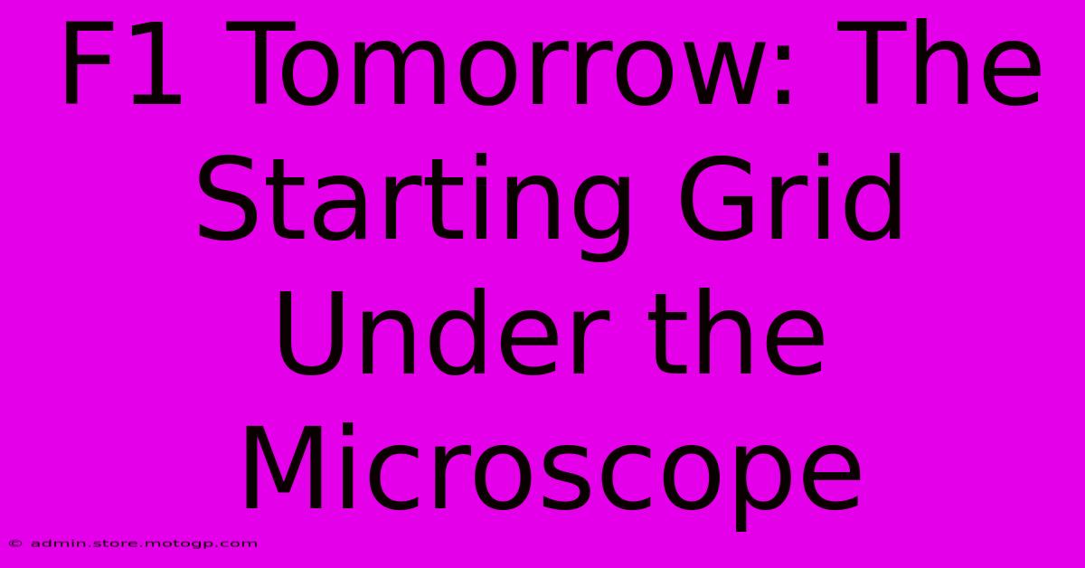 F1 Tomorrow: The Starting Grid Under The Microscope