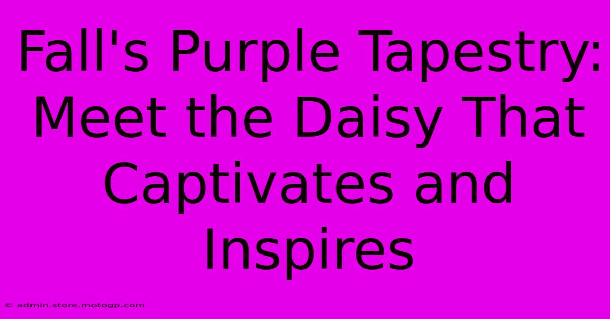 Fall's Purple Tapestry: Meet The Daisy That Captivates And Inspires