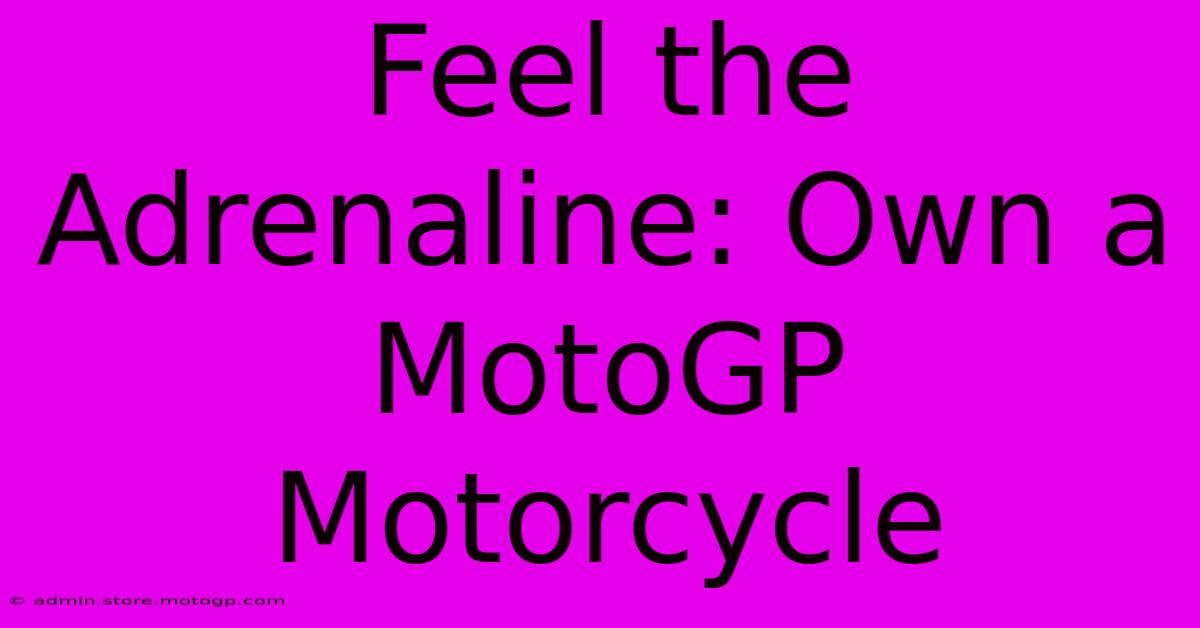 Feel The Adrenaline: Own A MotoGP Motorcycle