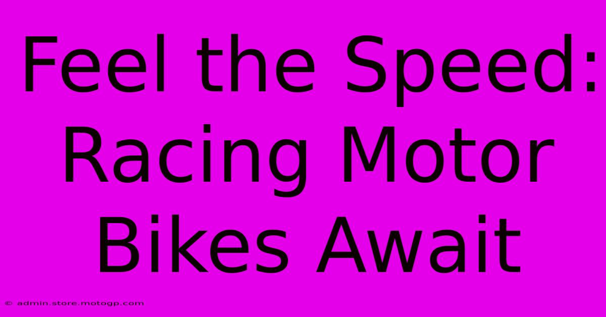 Feel The Speed: Racing Motor Bikes Await