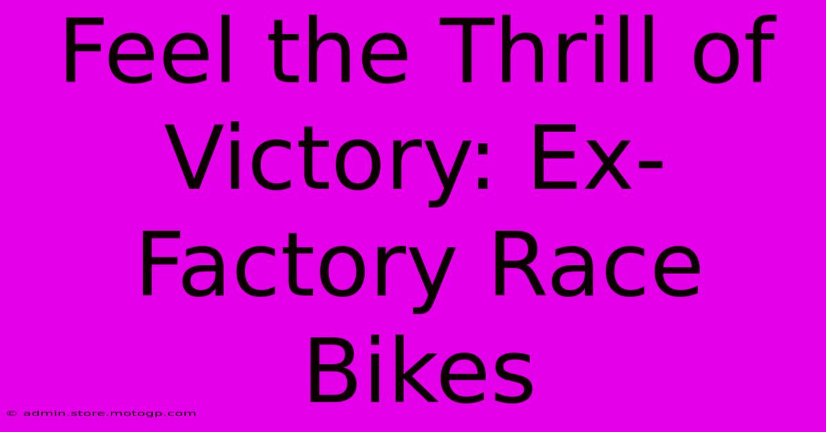 Feel The Thrill Of Victory: Ex-Factory Race Bikes