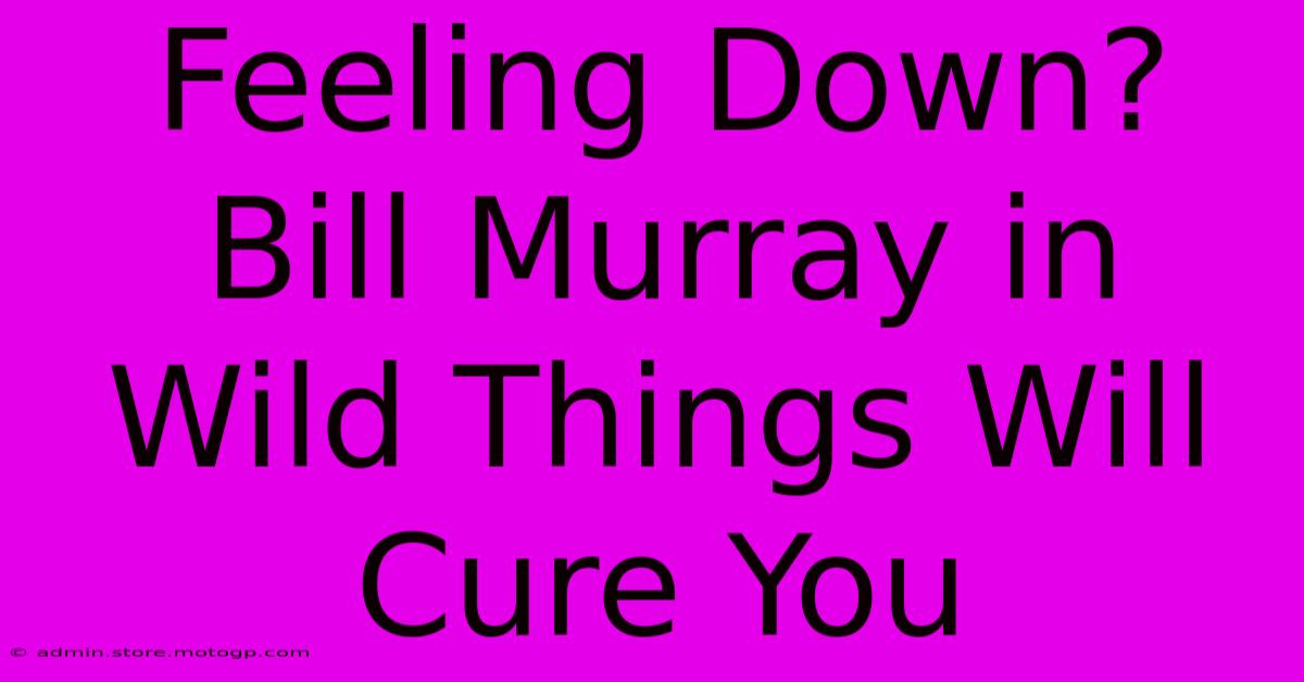 Feeling Down? Bill Murray In Wild Things Will Cure You