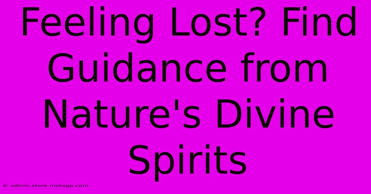 Feeling Lost? Find Guidance From Nature's Divine Spirits