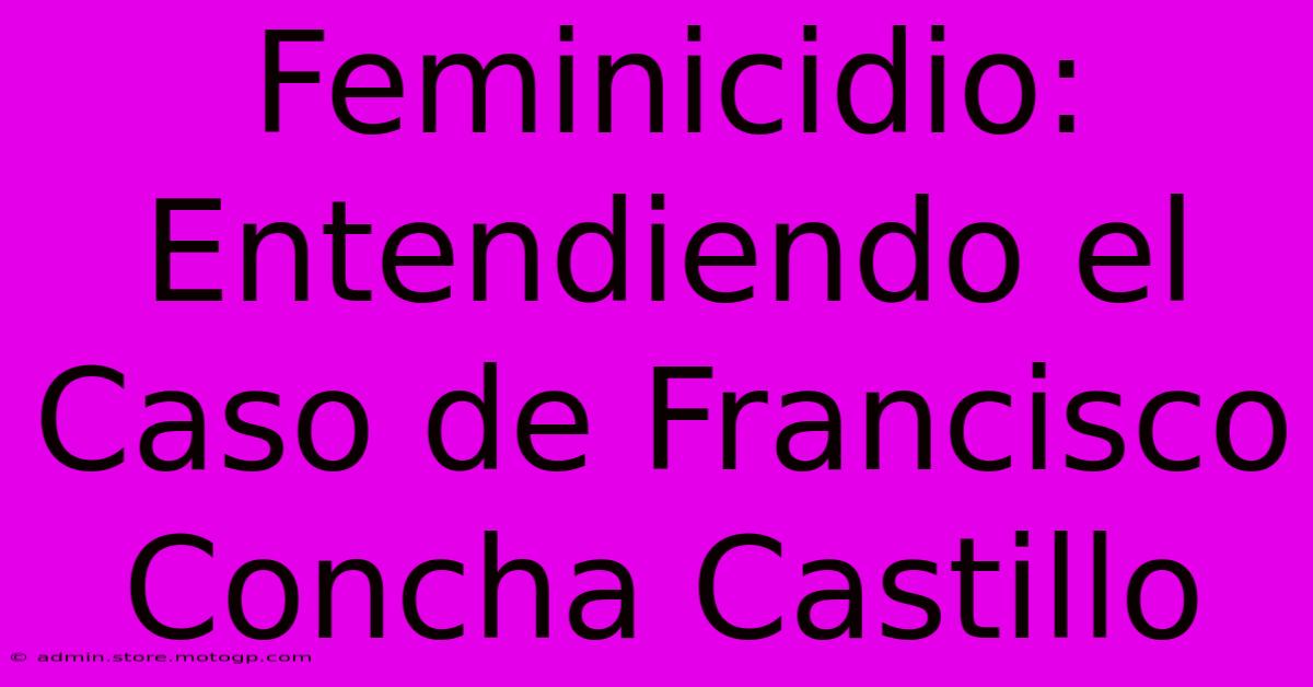 Feminicidio: Entendiendo El Caso De Francisco Concha Castillo