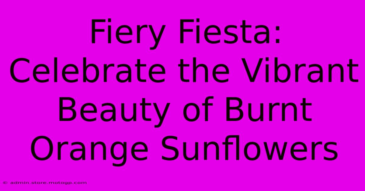 Fiery Fiesta: Celebrate The Vibrant Beauty Of Burnt Orange Sunflowers