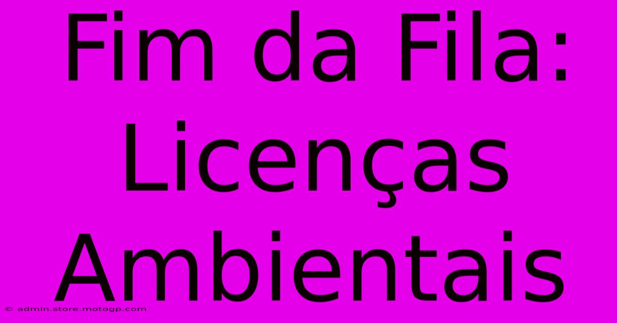 Fim Da Fila: Licenças Ambientais