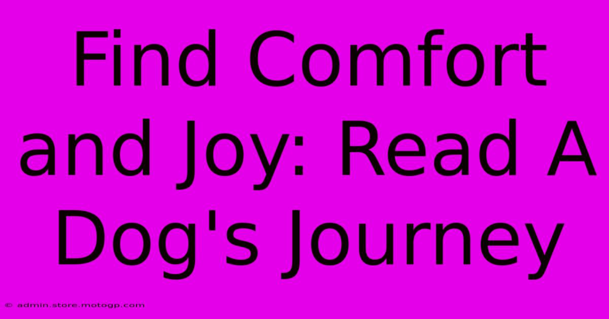 Find Comfort And Joy: Read A Dog's Journey