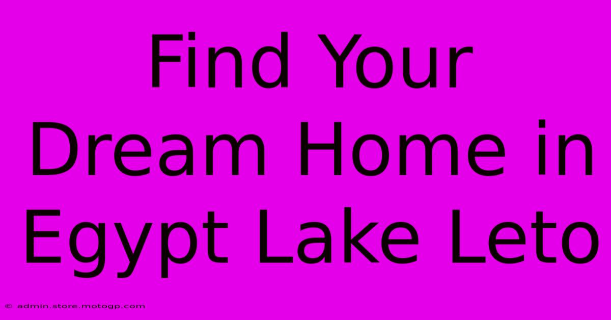 Find Your Dream Home In Egypt Lake Leto