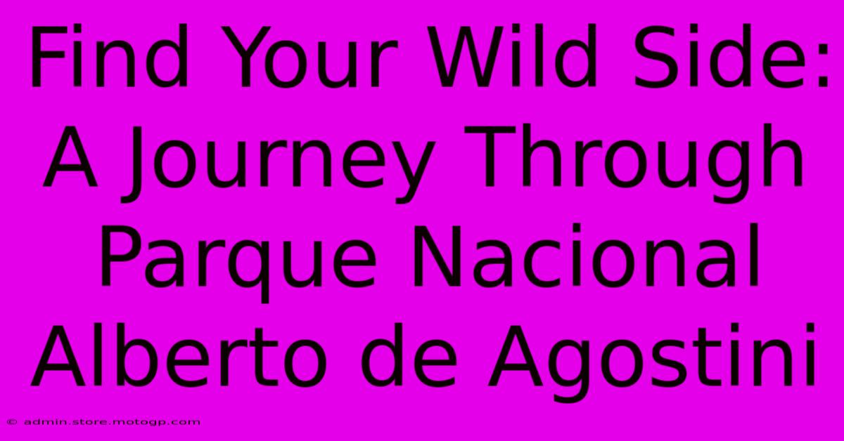 Find Your Wild Side: A Journey Through Parque Nacional Alberto De Agostini