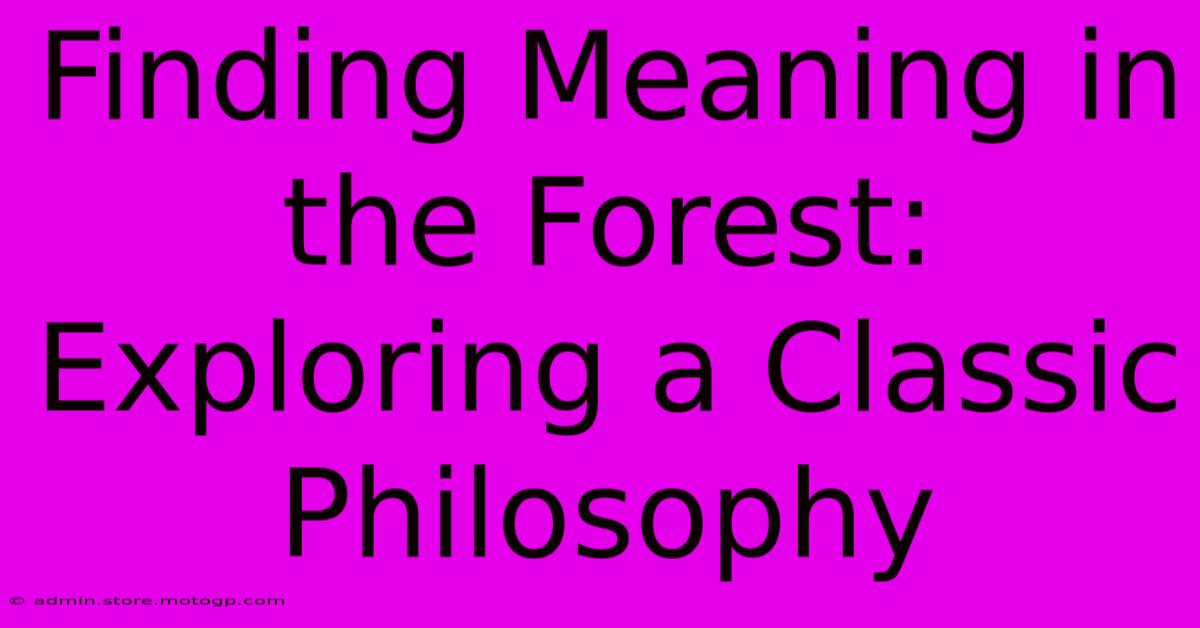 Finding Meaning In The Forest: Exploring A Classic Philosophy