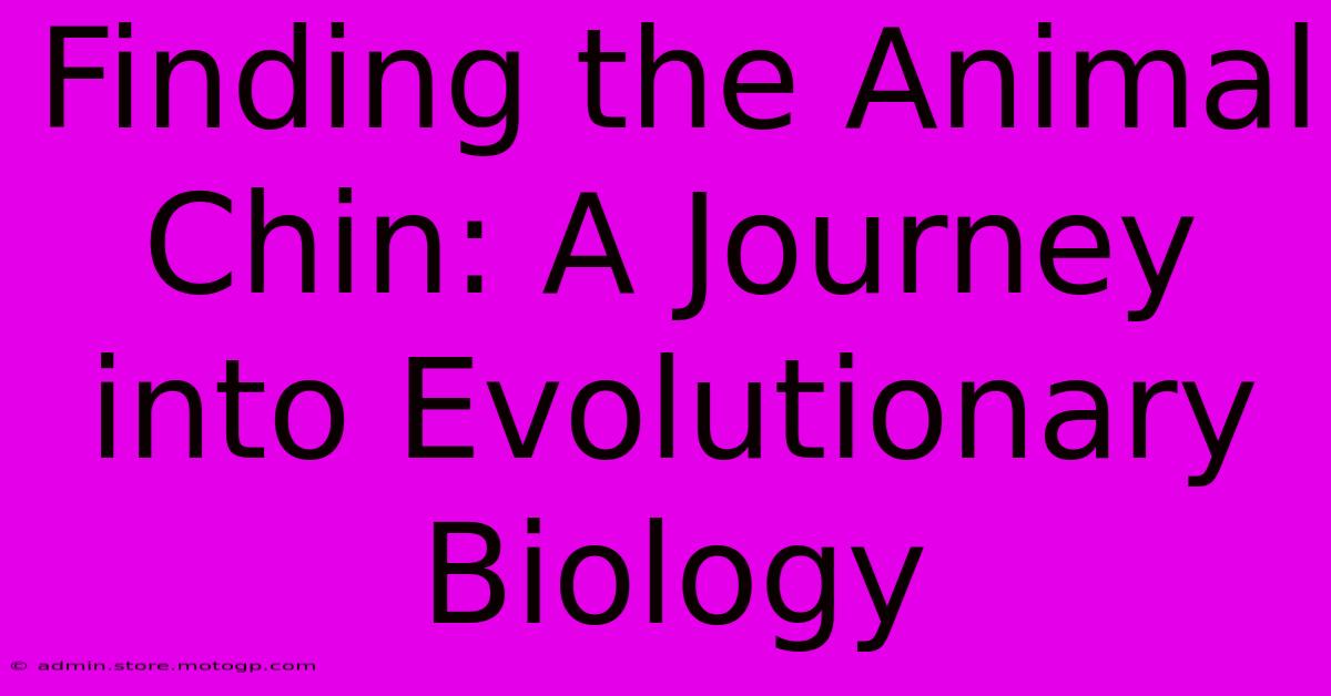 Finding The Animal Chin: A Journey Into Evolutionary Biology