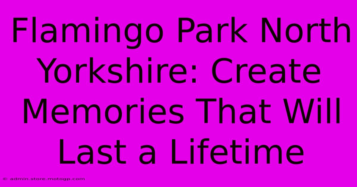 Flamingo Park North Yorkshire: Create Memories That Will Last A Lifetime